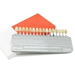 Plutusdental shade guide for sale  Delivered anywhere in USA 