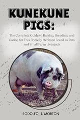 Kunekune pigs complete for sale  Delivered anywhere in USA 