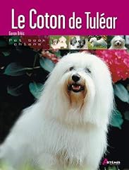 Coton tuléar d'occasion  Livré partout en France