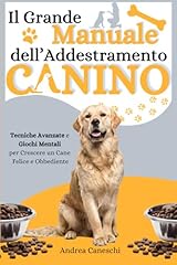 Grande manuale dell usato  Spedito ovunque in Italia 