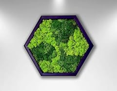Hexagon moss pattern for sale  Delivered anywhere in USA 