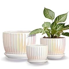 Ton sin white for sale  Delivered anywhere in USA 