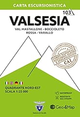 Valsesia quadrante nord usato  Spedito ovunque in Italia 