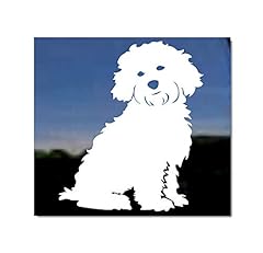 Cavapoo cavalier poodle for sale  Delivered anywhere in USA 