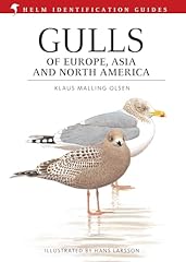 Gulls asia and d'occasion  Livré partout en France