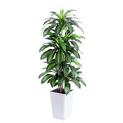 Floworld artificial dracaena for sale  Delivered anywhere in USA 