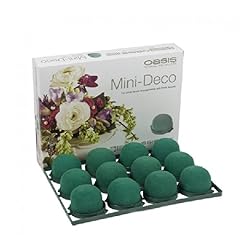Floristrywarehouse oasis mini for sale  Delivered anywhere in UK