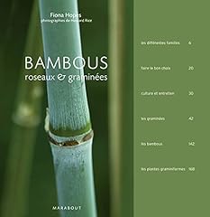 Bambous roseaux graminées d'occasion  Livré partout en Belgiqu