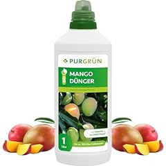 Purgrün bio mango gebraucht kaufen  Wird an jeden Ort in Deutschland