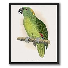 Inkflow yellow naped for sale  Delivered anywhere in USA 