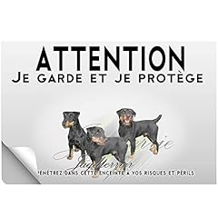 Stick attention chien d'occasion  Livré partout en France