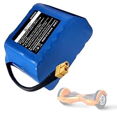 Sscyht batteria agli usato  Spedito ovunque in Italia 