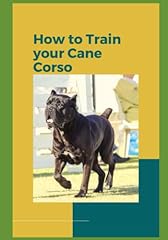 Train cane corso for sale  Delivered anywhere in UK