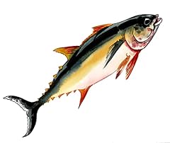Tuna fish. original for sale  Delivered anywhere in USA 
