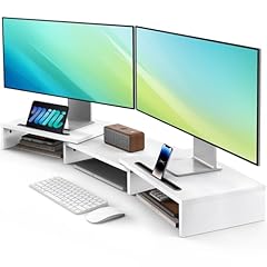 Ameriergo dual monitor for sale  Delivered anywhere in USA 