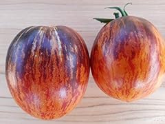 Ghino tacco tomate d'occasion  Livré partout en France