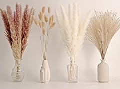 Decorazione pampas grass usato  Spedito ovunque in Italia 