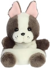 Aurora adorable palm for sale  Delivered anywhere in USA 