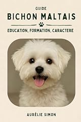 Bichon maltais education d'occasion  Livré partout en France