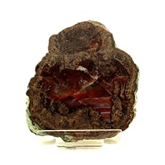 Lithophyse 1742.0 carats d'occasion  Livré partout en Belgiqu