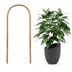 Hanaruer pack bamboo for sale  Delivered anywhere in USA 