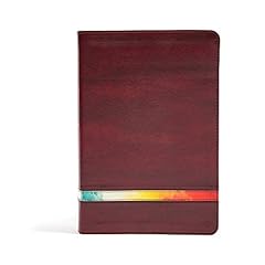 Niv rainbow study for sale  Delivered anywhere in USA 