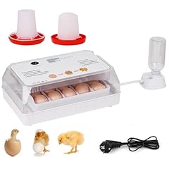 Breuaily couveuse oeuf d'occasion  Livré partout en France
