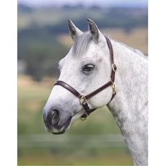 Shires velocito gara for sale  Delivered anywhere in UK