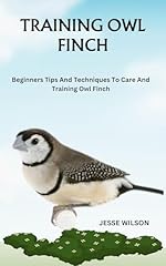 Training owl finch for sale  Delivered anywhere in USA 