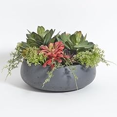 Hunter faux succulent for sale  Delivered anywhere in USA 