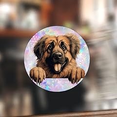 Swavecat leonberger cute for sale  Delivered anywhere in UK