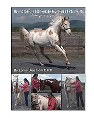 Identify release horse for sale  Delivered anywhere in UK