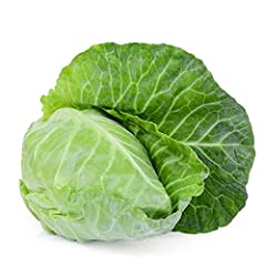 Vegetable plants cabbage for sale  Delivered anywhere in UK