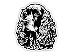 English cocker spaniel for sale  Delivered anywhere in USA 