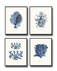 Indigo sea coral for sale  Delivered anywhere in USA 