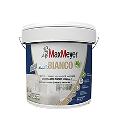 Maxmeyer pittura per usato  Spedito ovunque in Italia 