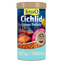 Tetra cichlid colour for sale  Delivered anywhere in UK