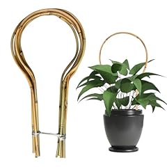 Pack bamboo trellis for sale  Delivered anywhere in USA 