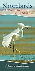 Shorebirds southeast gulf for sale  Delivered anywhere in USA 