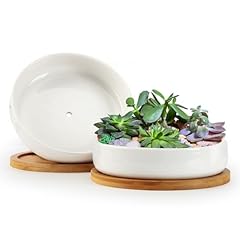 Zoutog succulent pots for sale  Delivered anywhere in USA 