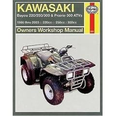 Kawasaki bayou 220 d'occasion  Livré partout en France