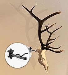 Skull bracket bull for sale  Delivered anywhere in USA 