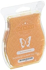 Scentsy sunkissed citrus for sale  Delivered anywhere in USA 