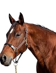 Cashel combo leather for sale  Delivered anywhere in USA 