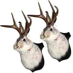 Goldpeak jackalope wall for sale  Delivered anywhere in USA 