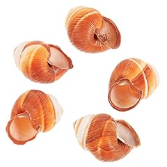 Bathveve lot coquilles d'occasion  Livré partout en France