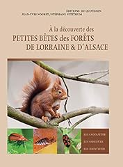 Découverte petites bêtes gebraucht kaufen  Wird an jeden Ort in Deutschland