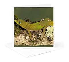 3drose greeting card for sale  Delivered anywhere in USA 
