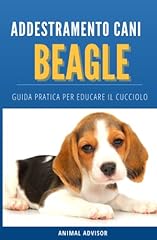 Addestramento cani beagle usato  Spedito ovunque in Italia 