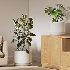 Tauci ceramic pots for sale  Delivered anywhere in USA 